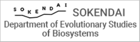 SOKENDAI / Department of Evolutionary Studies of Biosystems
